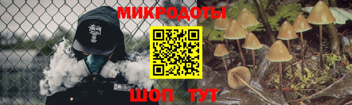 Галлюциногенные грибы Psilocybine cubensis  купить наркотики цена  Россошь  Вход с VPN  Галлюциногенные грибы мицелий 